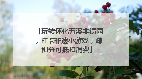玩转怀化五溪非遗园，打卡非遗小游戏，赚积分可抵扣消费