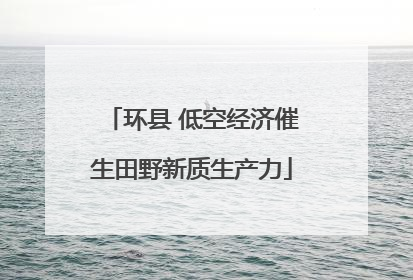 环县 低空经济催生田野新质生产力