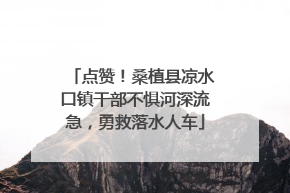 点赞！桑植县凉水口镇干部不惧河深流急，勇救落水人车