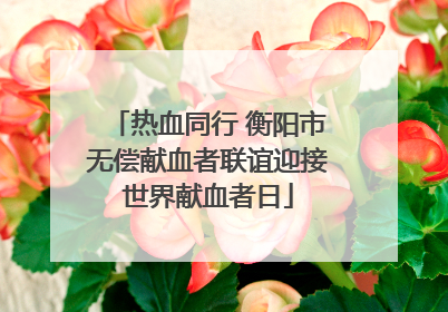 热血同行 衡阳市无偿献血者联谊迎接世界献血者日