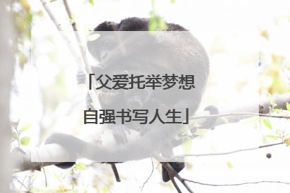 父爱托举梦想 自强书写人生
