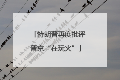 特朗普再度批评普京“在玩火”