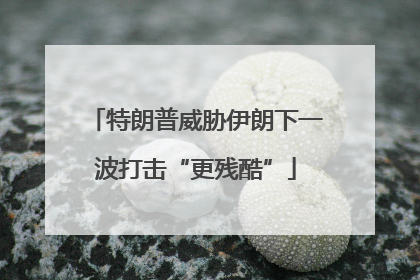 特朗普威胁伊朗下一波打击“更残酷”