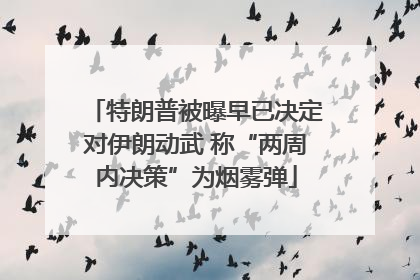 特朗普被曝早已决定对伊朗动武 称“两周内决策”为烟雾弹