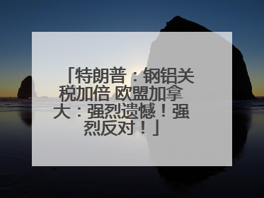 特朗普：钢铝关税加倍 欧盟加拿大：强烈遗憾！强烈反对！