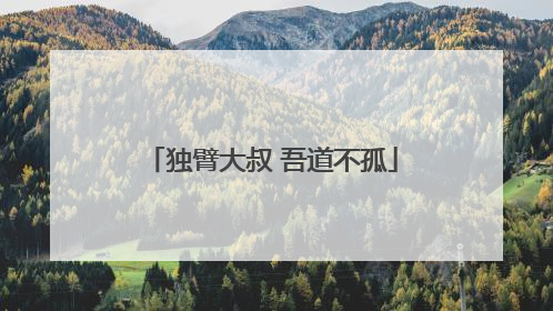 独臂大叔 吾道不孤