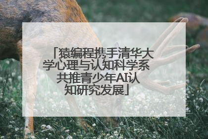 猿编程携手清华大学心理与认知科学系 共推青少年AI认知研究发展