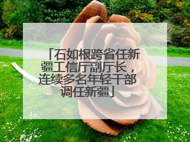 石如根跨省任新疆工信厅副厅长，连续多名年轻干部调任新疆