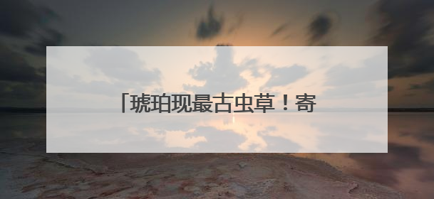 琥珀现最古虫草！寄生蚂蚁历史达亿年