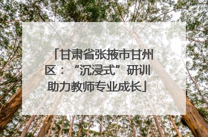 甘肃省张掖市甘州区：“沉浸式”研训助力教师专业成长