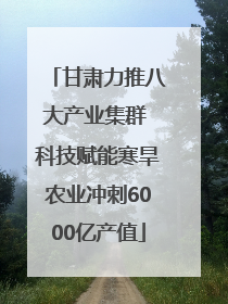 甘肃力推八大产业集群 科技赋能寒旱农业冲刺6000亿产值