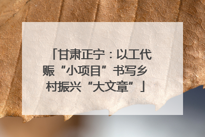 甘肃正宁：以工代赈“小项目”书写乡村振兴“大文章”