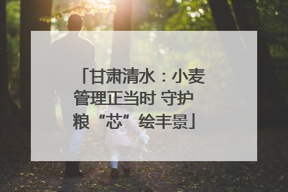 甘肃清水：小麦管理正当时 守护粮“芯”绘丰景