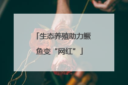 生态养殖助力鳜鱼变“网红”