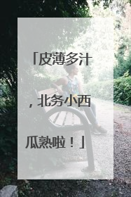 皮薄多汁，北务小西瓜熟啦！