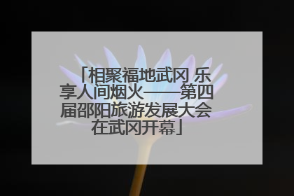 相聚福地武冈 乐享人间烟火——第四届邵阳旅游发展大会在武冈开幕