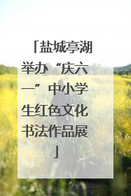 盐城亭湖举办“庆六一”中小学生红色文化书法作品展