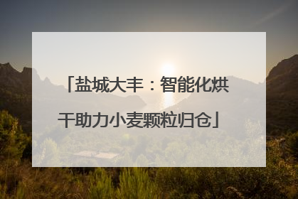 盐城大丰：智能化烘干助力小麦颗粒归仓