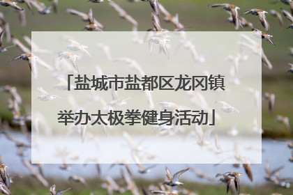 盐城市盐都区龙冈镇举办太极拳健身活动