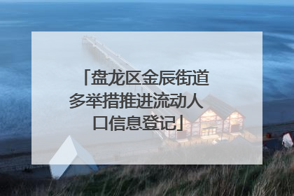 盘龙区金辰街道多举措推进流动人口信息登记