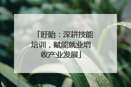 盱眙：深耕技能培训，赋能就业增收产业发展