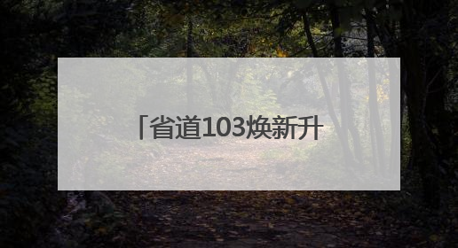 省道103焕新升级：泉城“后花园”开启梦幻公路之旅