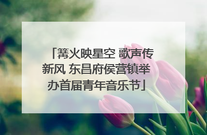 篝火映星空 歌声传新风 东昌府侯营镇举办首届青年音乐节