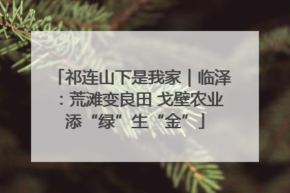 祁连山下是我家｜临泽：荒滩变良田 戈壁农业添“绿”生“金”