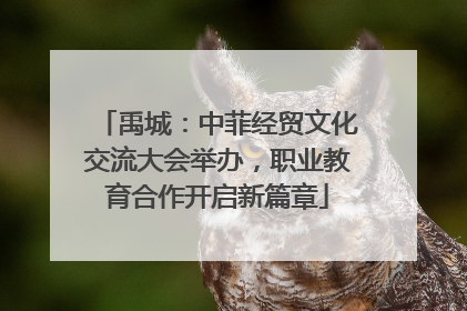 禹城：中菲经贸文化交流大会举办，职业教育合作开启新篇章