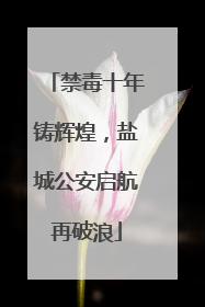 禁毒十年铸辉煌，盐城公安启航再破浪