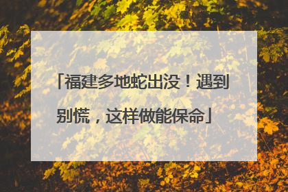 福建多地蛇出没！遇到别慌，这样做能保命