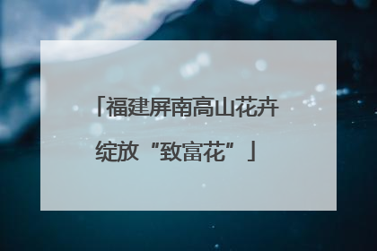 福建屏南高山花卉绽放“致富花”