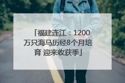 福建连江：1200万只海马历经8个月培育 迎来收获季