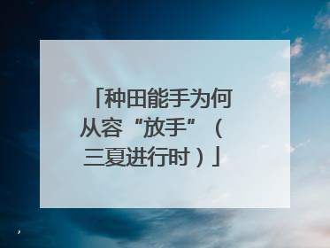 种田能手为何从容“放手”（三夏进行时）