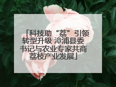 科技助“荔”引领转型升级 漳浦县委书记与农业专家共商荔枝产业发展