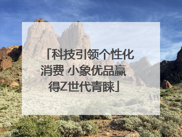 科技引领个性化消费 小象优品赢得Z世代青睐