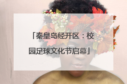 秦皇岛经开区：校园足球文化节启幕
