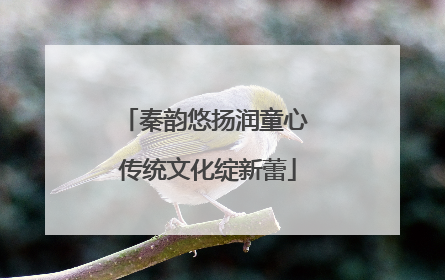 秦韵悠扬润童心 传统文化绽新蕾