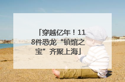 穿越亿年！118件恐龙“镇馆之宝”齐聚上海