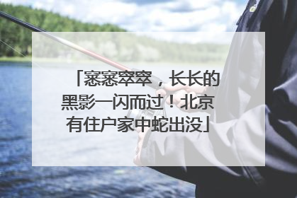 窸窸窣窣，长长的黑影一闪而过！北京有住户家中蛇出没
