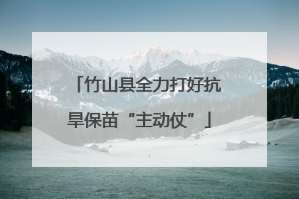 竹山县全力打好抗旱保苗“主动仗”