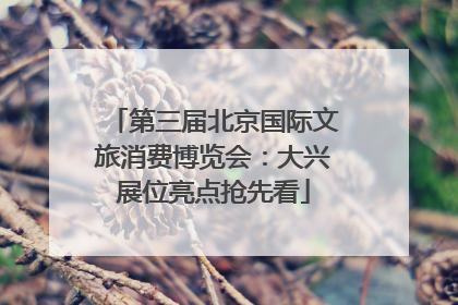第三届北京国际文旅消费博览会：大兴展位亮点抢先看