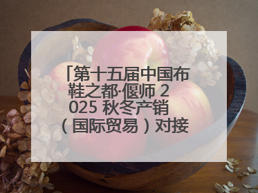 第十五届中国布鞋之都·偃师 2025 秋冬产销（国际贸易）对接会隆重开幕