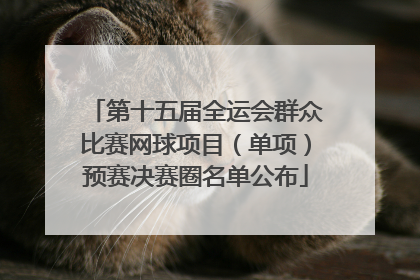 第十五届全运会群众比赛网球项目（单项）预赛决赛圈名单公布