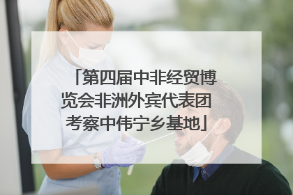 第四届中非经贸博览会非洲外宾代表团考察中伟宁乡基地