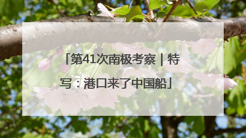 第41次南极考察｜特写：港口来了中国船