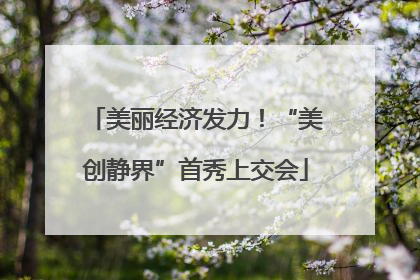 美丽经济发力！“美创静界”首秀上交会