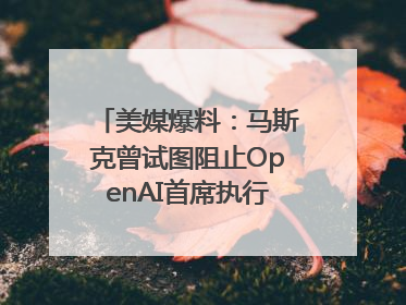 美媒爆料：马斯克曾试图阻止OpenAI首席执行官奥尔特曼在中东的AI交易