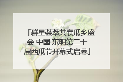 群星荟萃共襄瓜乡盛会 中国·东明第二十届西瓜节开幕式启幕