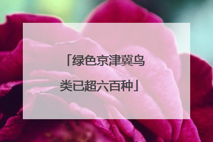 绿色京津冀鸟类已超六百种